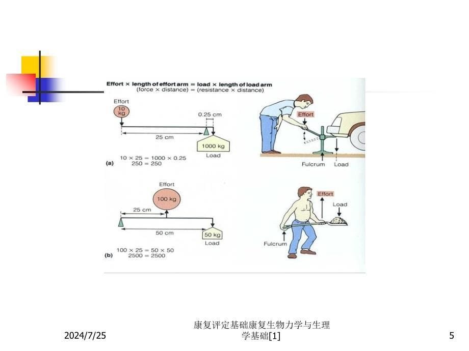 康复评定基础康复生物力学与生理学基础1课件_第5页