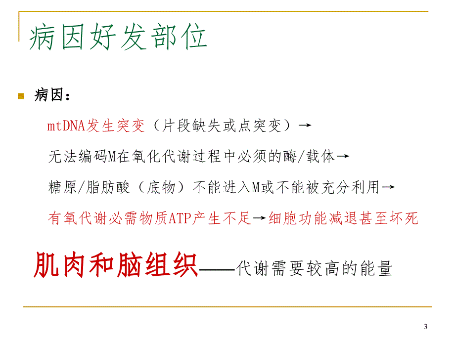 线粒体脑肌病分型及MR表现课堂PPT_第3页