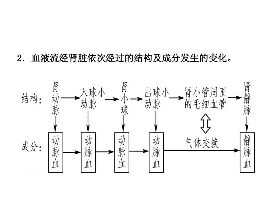 13第四单元 第五章_第5页