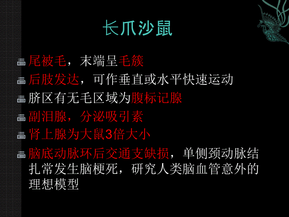 医学实验动物学：实验用动物生物学特性_第2页