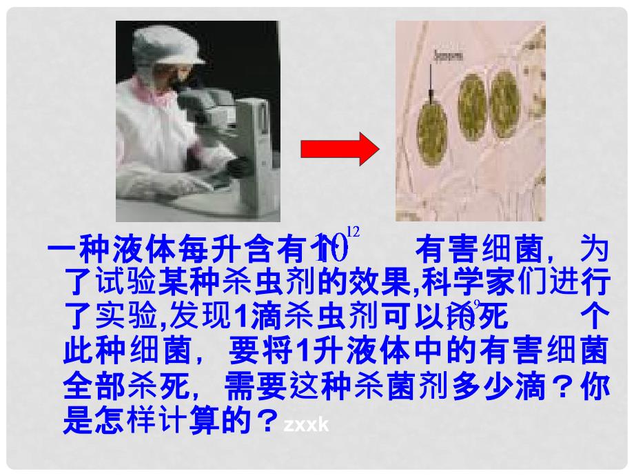 山东省滨州市无棣县埕口中学八年级数学上册 同底数幂的除法教学课件 新人教版_第2页