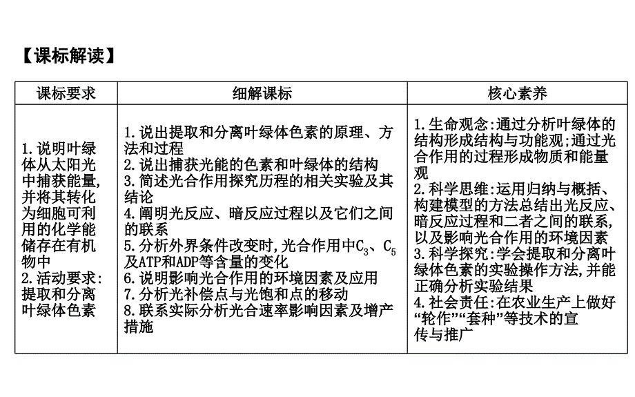 第10讲光合作用_第2页