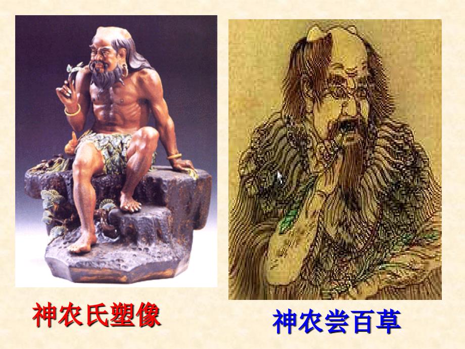 历史11古代中国的农业经济课件人民版必修2_第3页