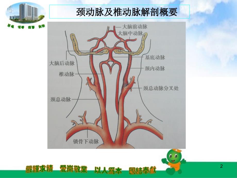 锁骨下动脉盗血优秀课件_第2页