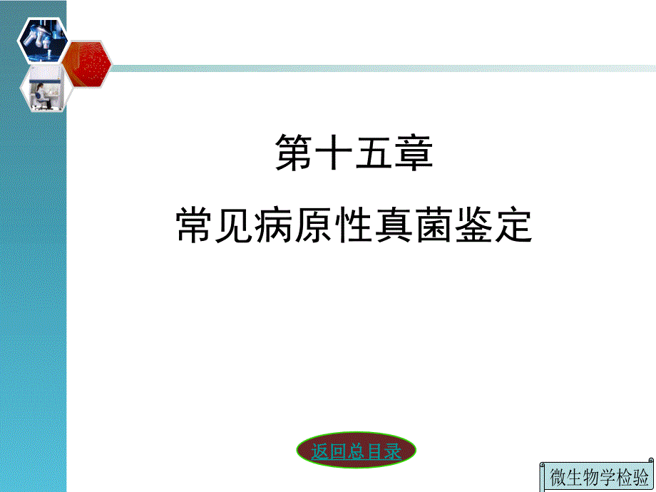 第十五章常见病原性真菌鉴定_第3页