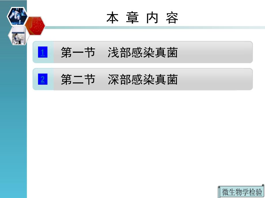 第十五章常见病原性真菌鉴定_第4页