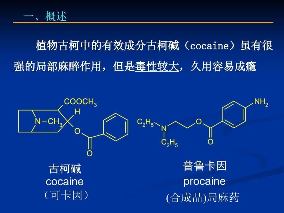 天然产物生物碱_第5页