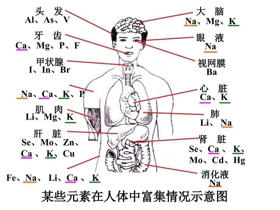 新课标　人教版初中化学十二单元课题2 化学元素与人体健康课件_第5页