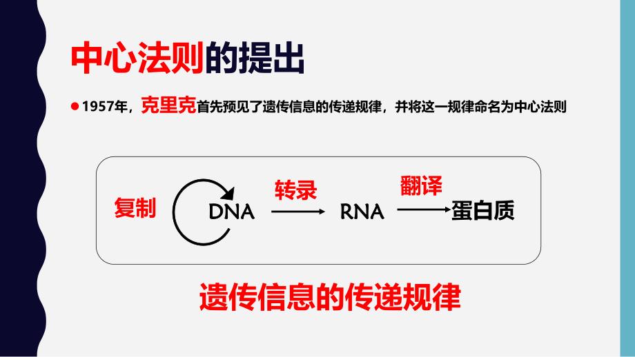 基因对性状的控制珍藏版_第2页