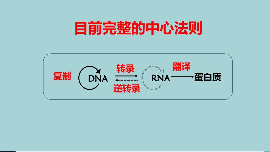 基因对性状的控制珍藏版_第3页