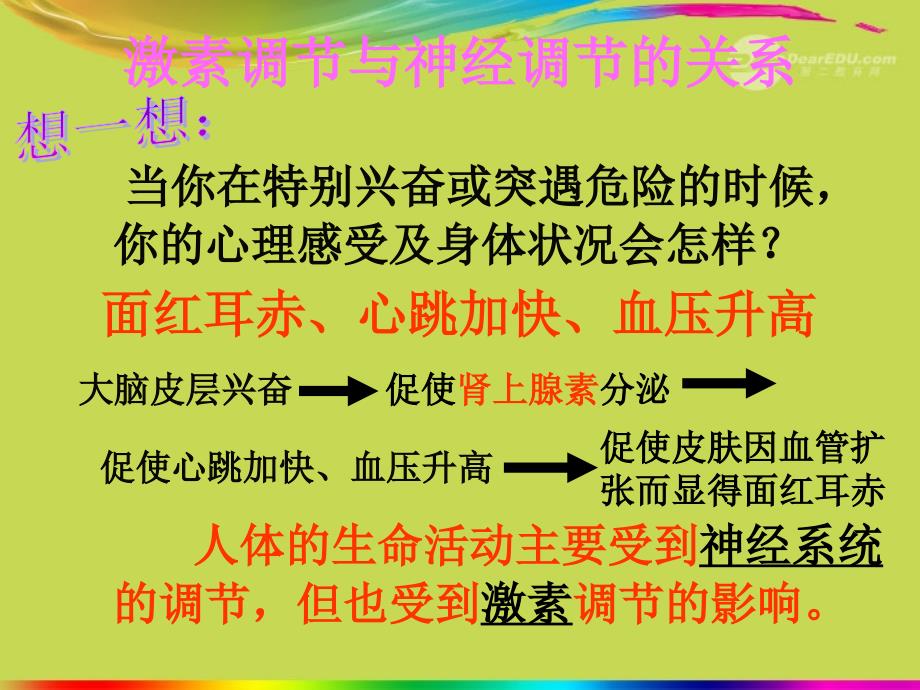 七级生物激素调节人教新课标版 ppt课件_第2页