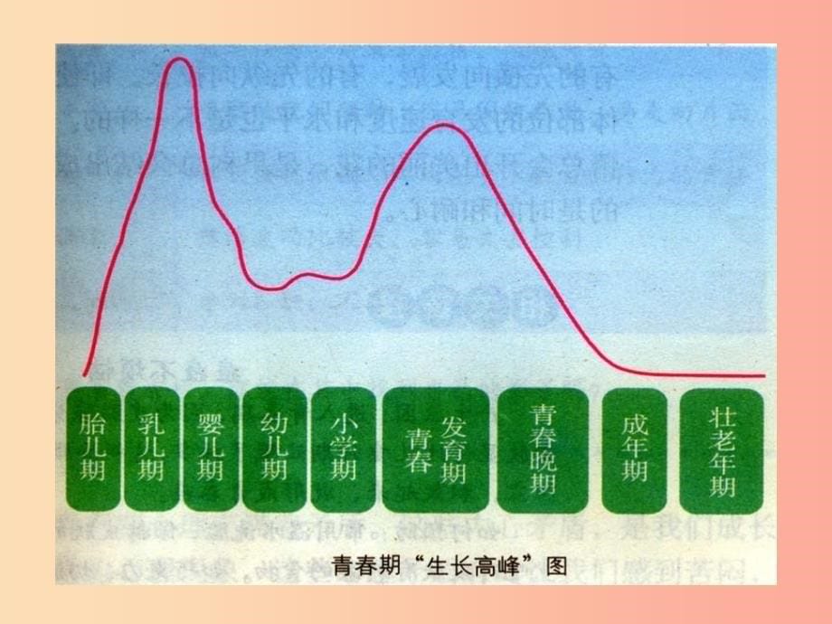 七年级道德与法治下册 第一单元 青春时光 第一课 青春的邀约 第1框 悄悄变化的我课件 新人教版.ppt_第5页