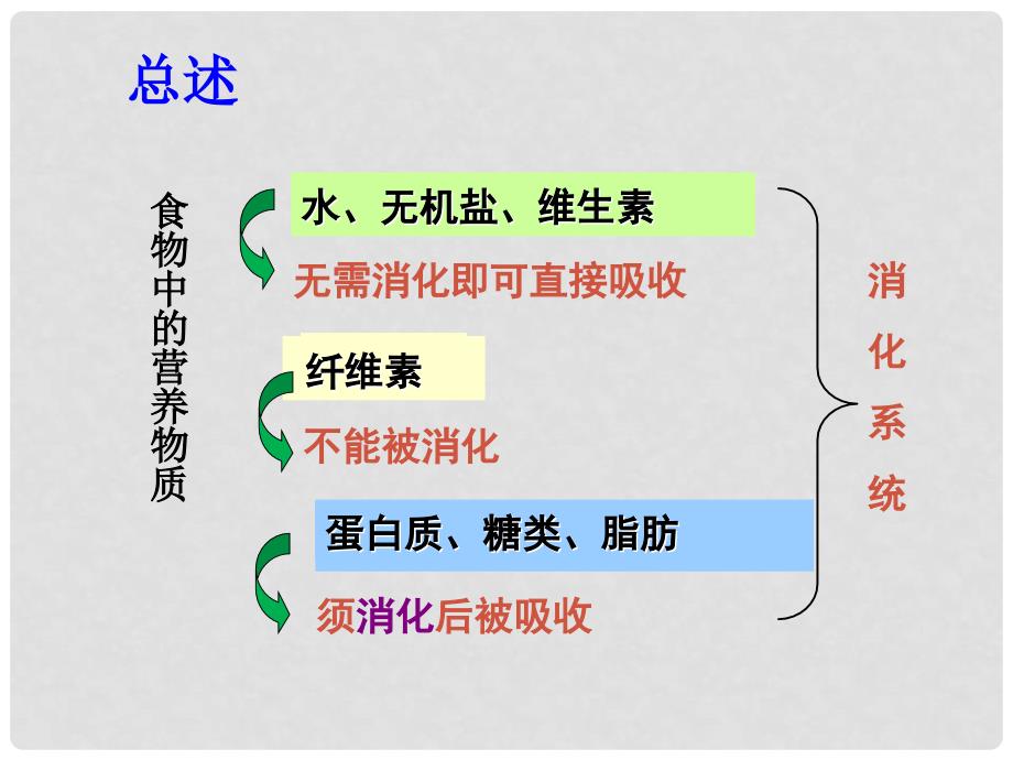 山东省惠民县七年级生物下册 3.1.2消化和吸收课件 （新版）济南版_第4页