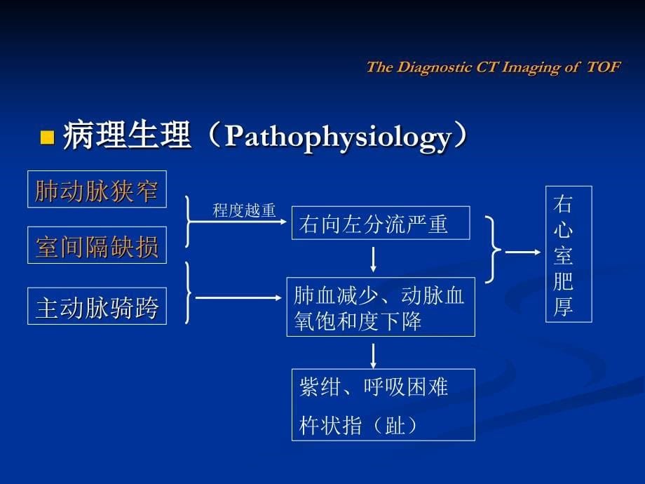 法乐氏四联症的CT诊断知识分享_第5页