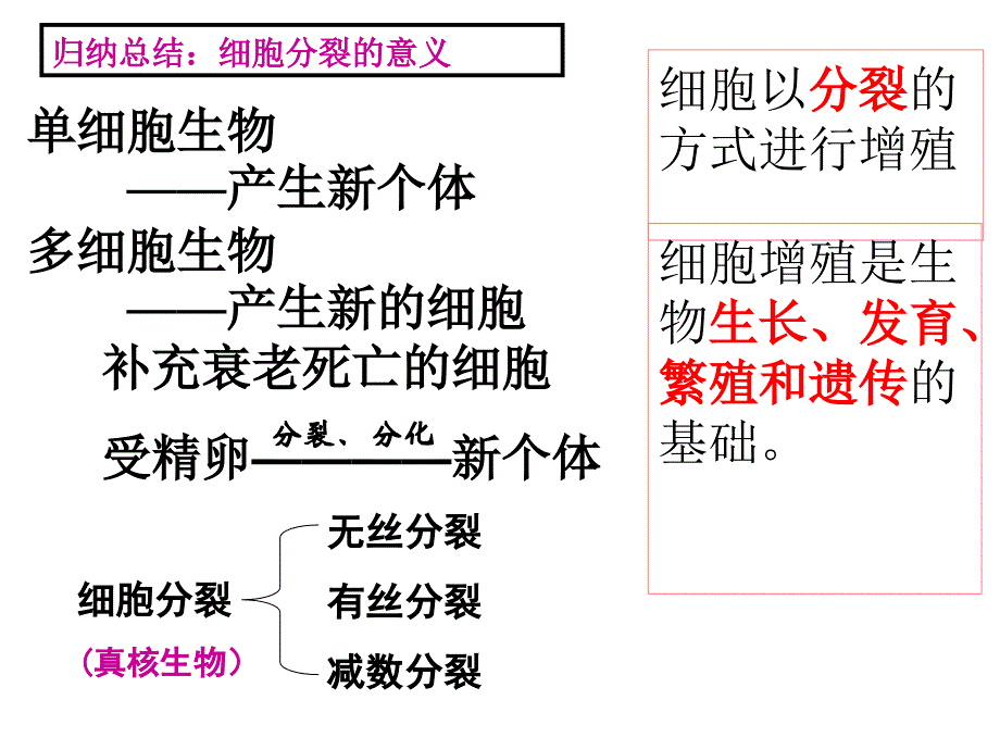 五章节一节细胞增殖一章节时扬州市新华中学蒋选荣_第4页