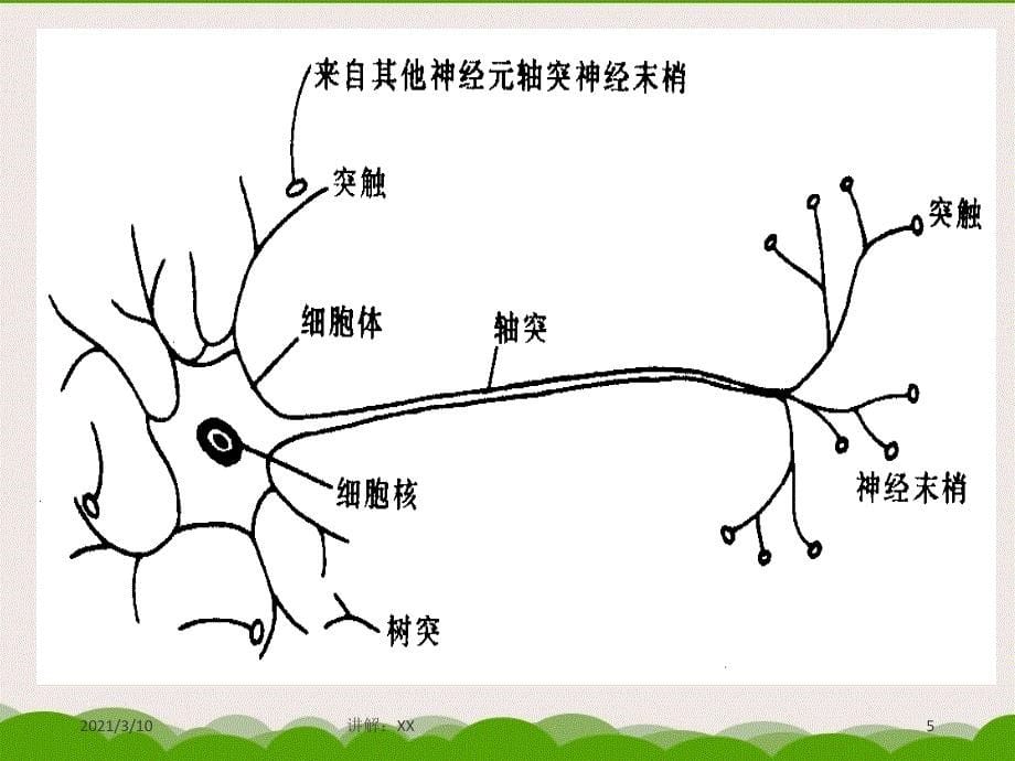 《学前心理学》第-二-章----学前儿童心理学发展的基本理论参考_第5页