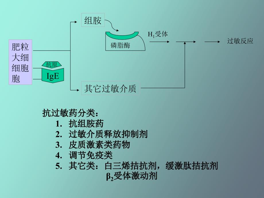 抗过敏药和抗溃疡药_第3页