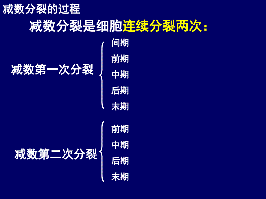 211减数分裂和受精作用_第3页