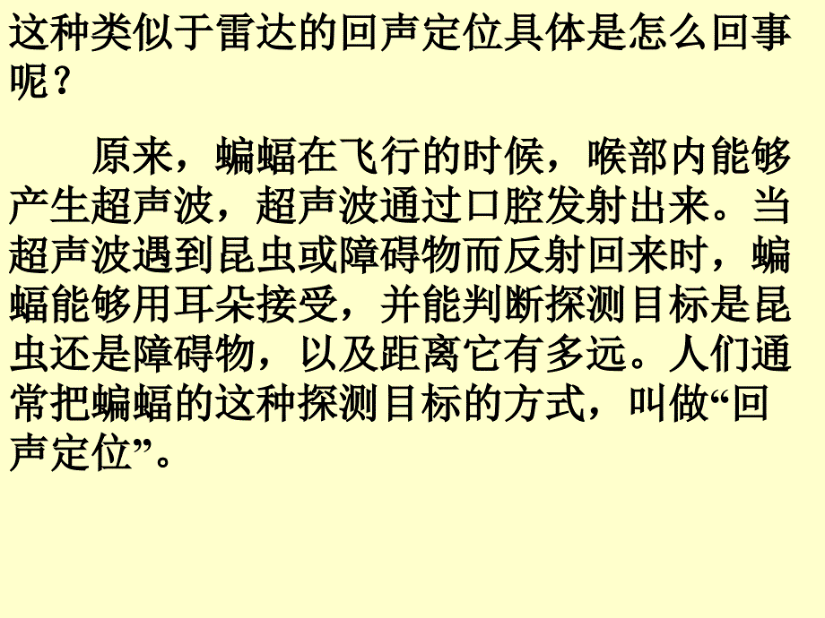 蝙蝠和雷达教学课件_第3页