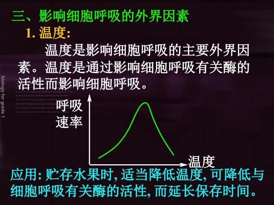 影响细胞呼吸的因素_第5页