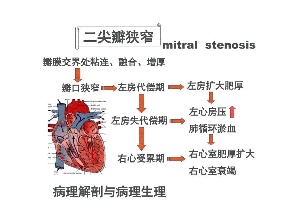 内科护理学-心脏瓣膜病_第5页