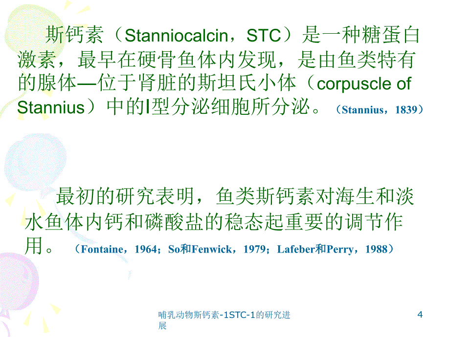 哺乳动物斯钙素1STC1的研究进展课件_第4页