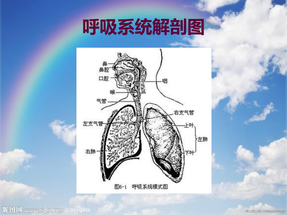 小儿发热及手足口病课件_第3页