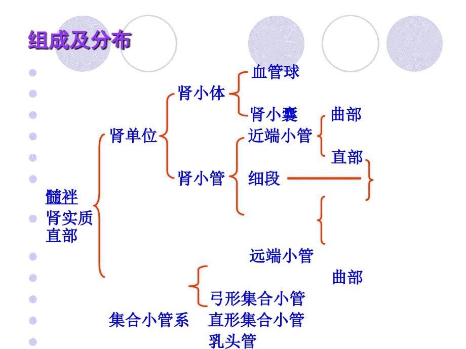 泌尿系统8放疗班_第5页