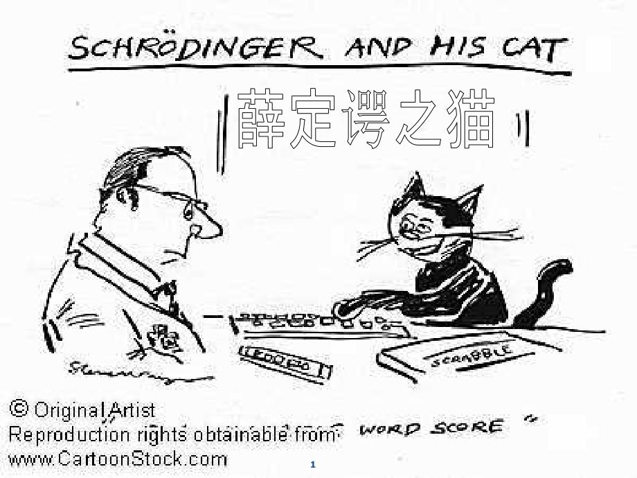 薛定谔的猫_第1页