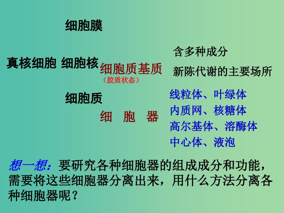 高中生物 3.2 细胞器-系统内的分工合作复习课件 新人教版必修1.ppt_第4页