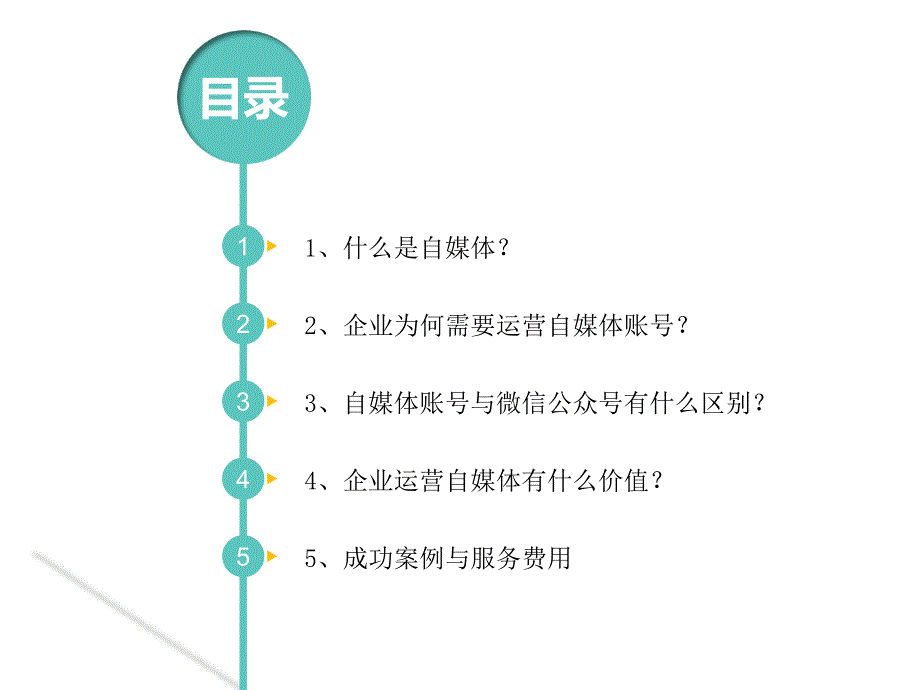 企业自媒体运营建设方案_第2页