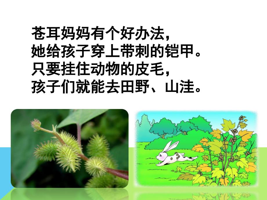 3-3《植物妈妈有办法》（游彩云）_第4页