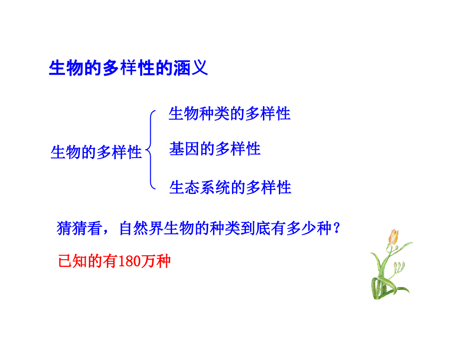 第二章认识生物的多样性_第2页