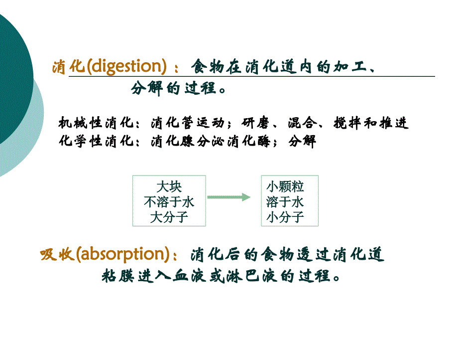 第六章消化和吸收wbx_第3页