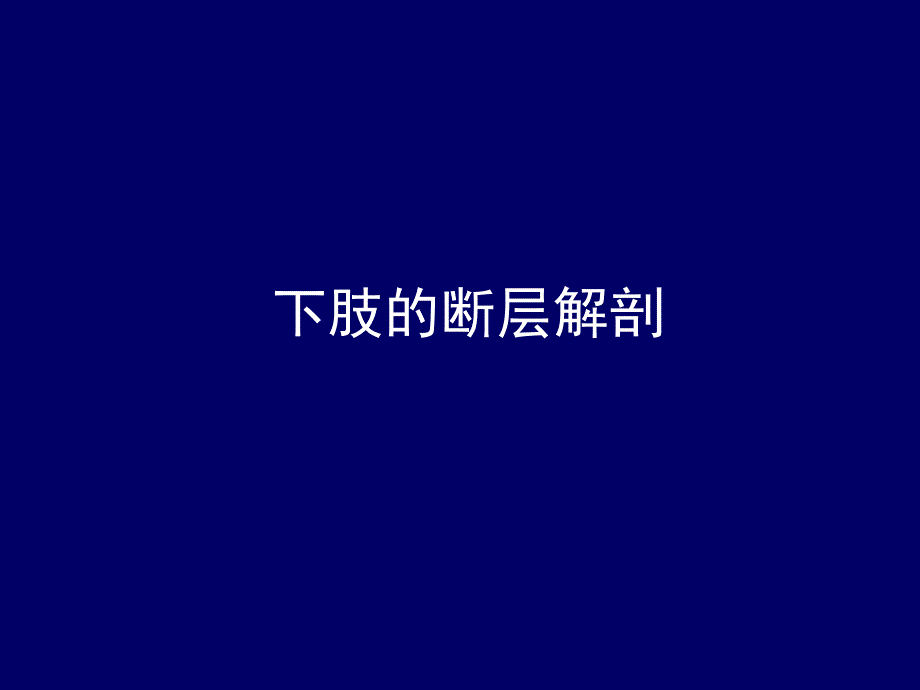 人体断层解剖学下肢的断层解剖PPT课件_第1页