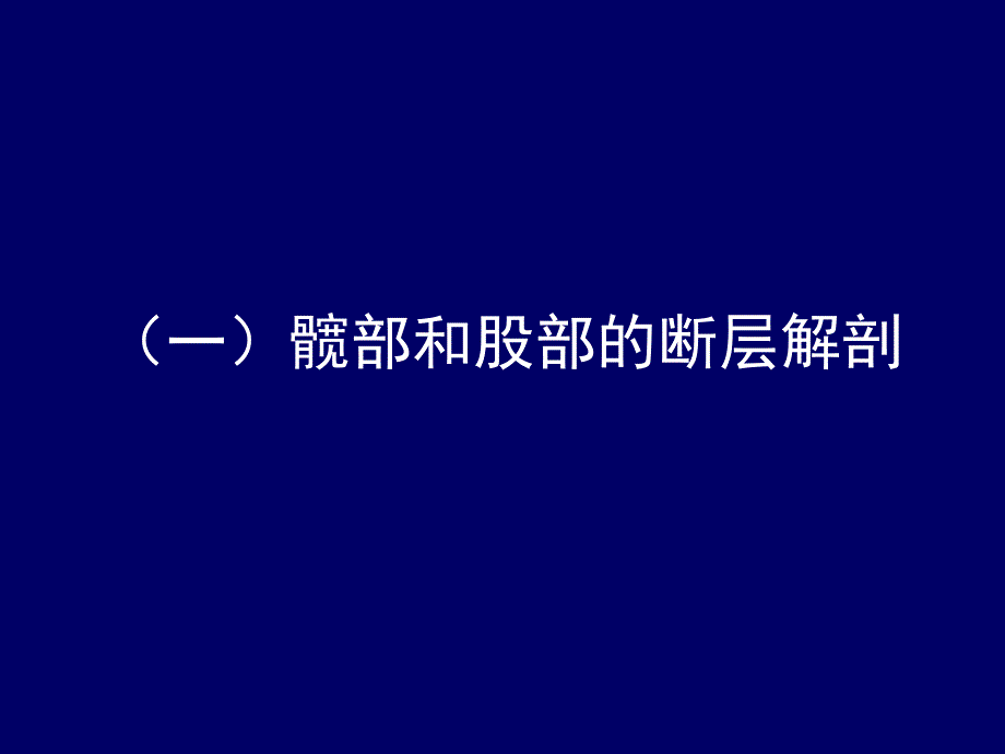 人体断层解剖学下肢的断层解剖PPT课件_第2页