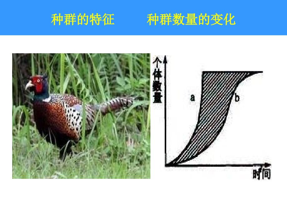 种群的特征种群数量的变化_第1页