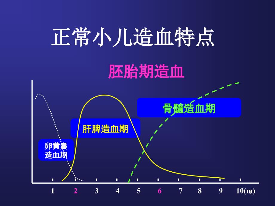 造血系统总论及营养性贫血ppt课件_第4页