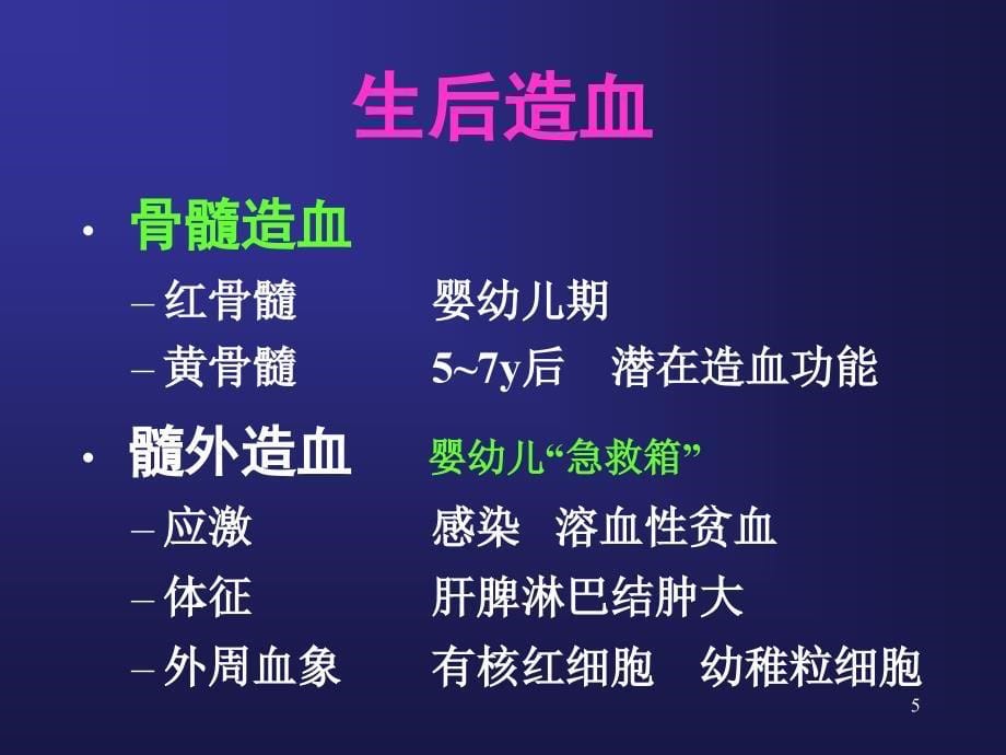 造血系统总论及营养性贫血ppt课件_第5页