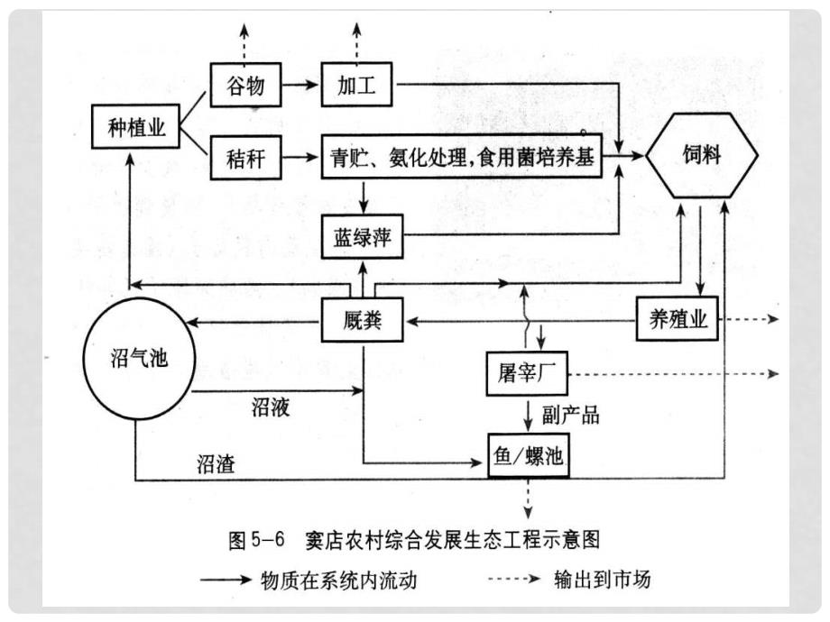 高中生物 5.2 生态工程的实例和发展前景课件 新人教版选修31_第4页