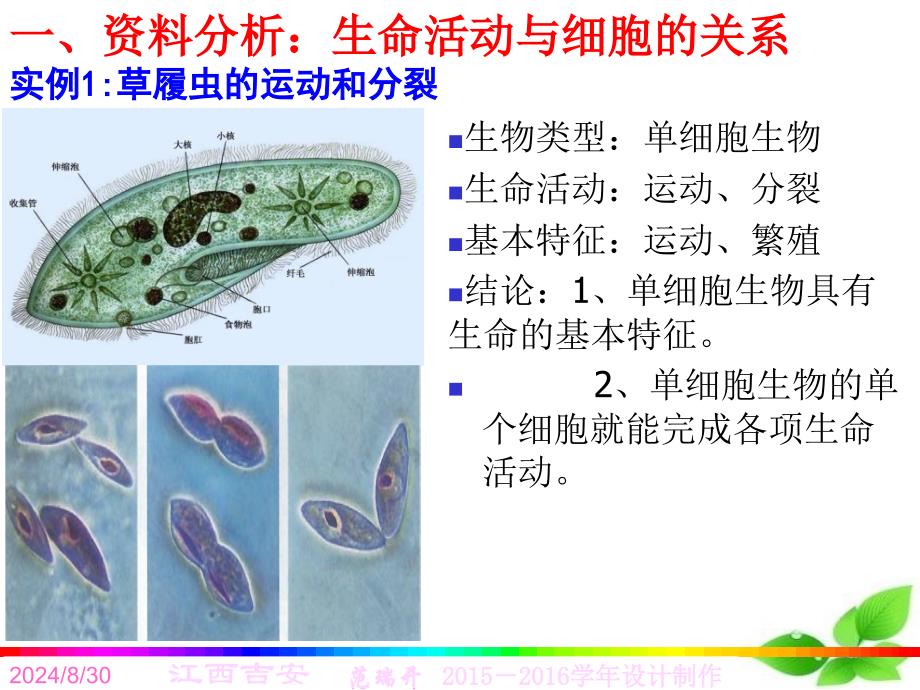 第一走近细胞_第3页