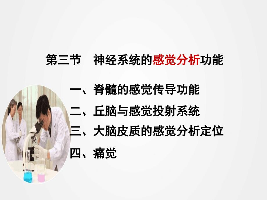 《神经系统的感觉分析功能》ppt.ppt_第1页