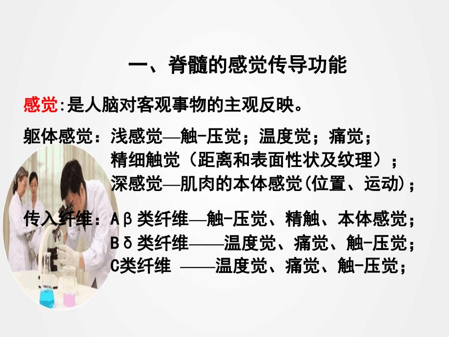 《神经系统的感觉分析功能》ppt.ppt_第2页