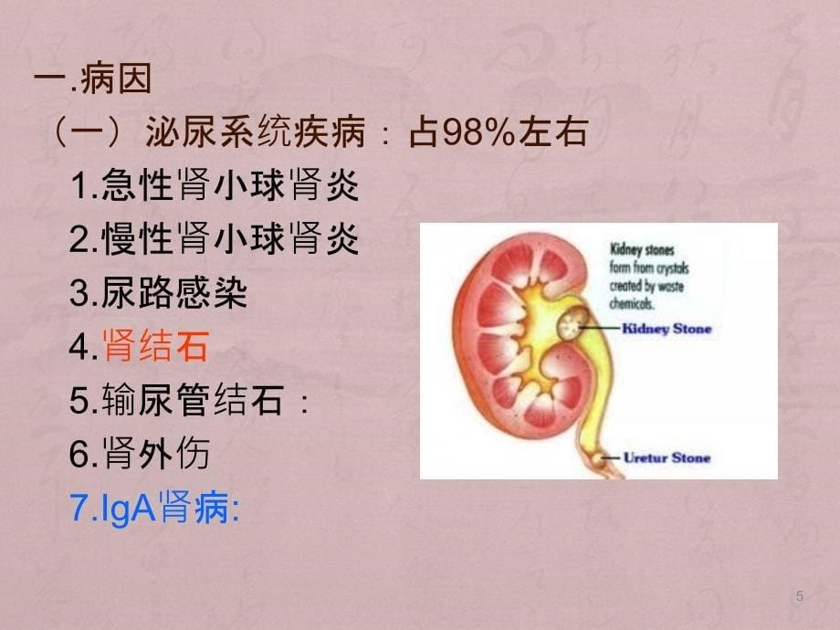 血尿PPT课件_第5页