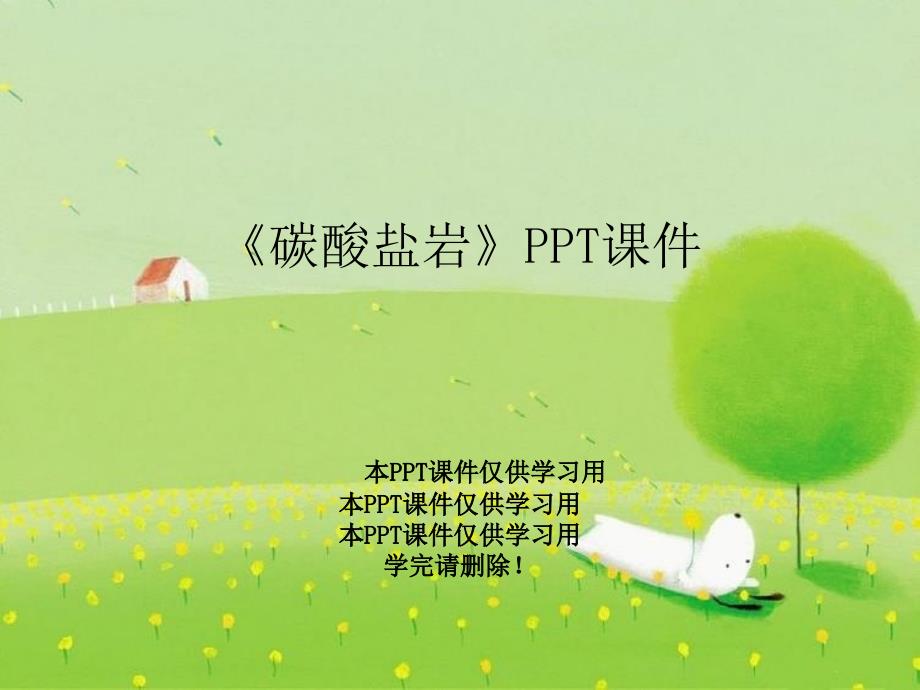 碳酸盐岩PPT课件_第1页