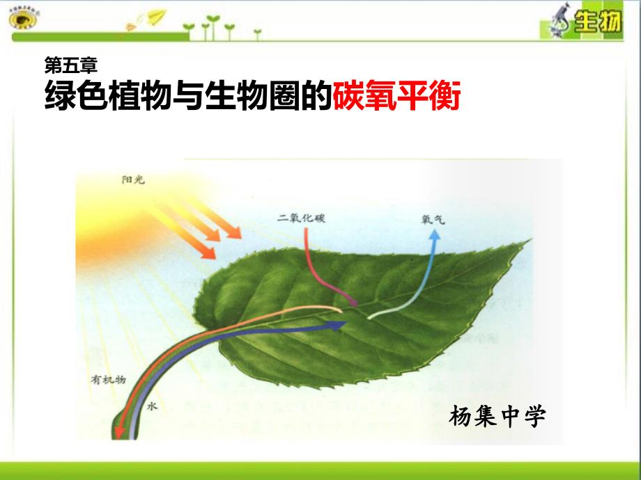 人教版生物七年级上册3.5绿色植物与生物圈中的碳—氧平衡课件(共17张PPT)_第1页