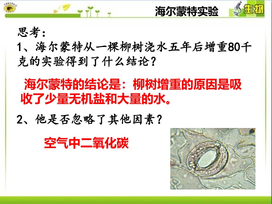 人教版生物七年级上册3.5绿色植物与生物圈中的碳—氧平衡课件(共17张PPT)_第3页