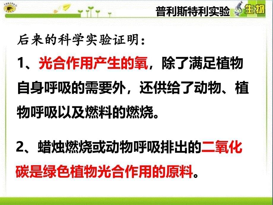 人教版生物七年级上册3.5绿色植物与生物圈中的碳—氧平衡课件(共17张PPT)_第5页