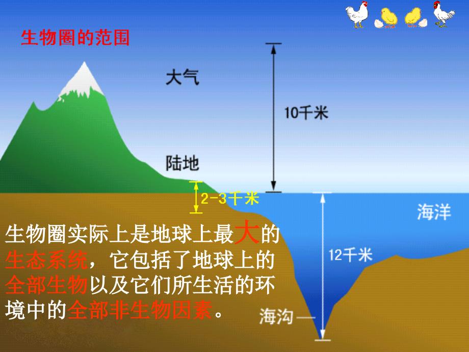 初中科学总复习课件浙教版生物部分人类与环境复习_第2页