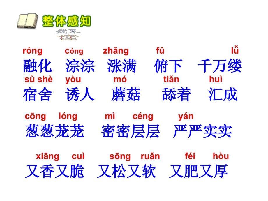 23、美丽的小兴安岭___生字课件_第5页